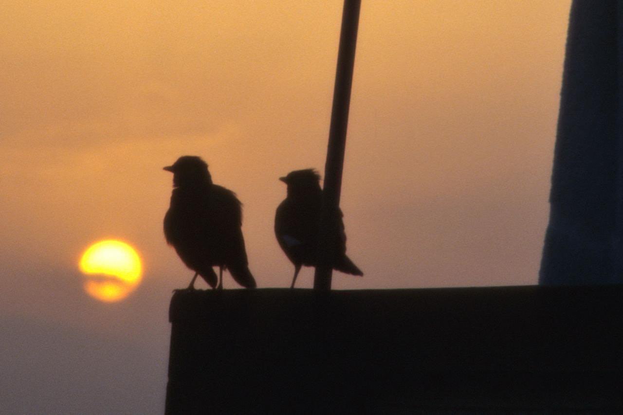 Sprache des Herzens mit Eva und Astrid